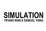 SIMULATION