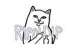 RIPNDIP