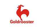 Goldrooster